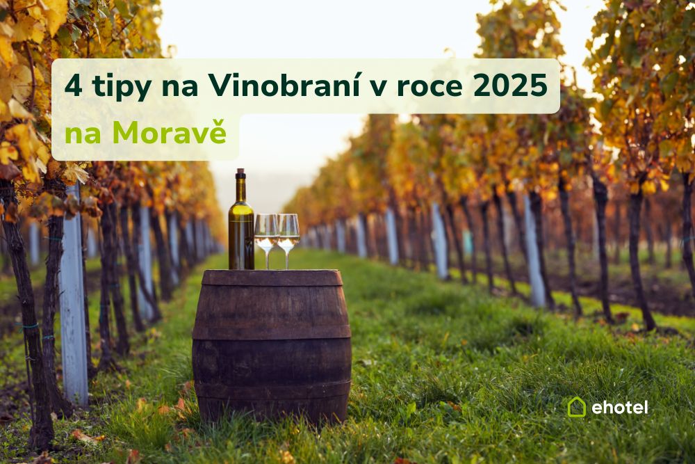 4-tipy-na-vinobrani-2025-kam-vyrazit-za-burcakem-tradici-a-neopakovatelnou-atmosferou