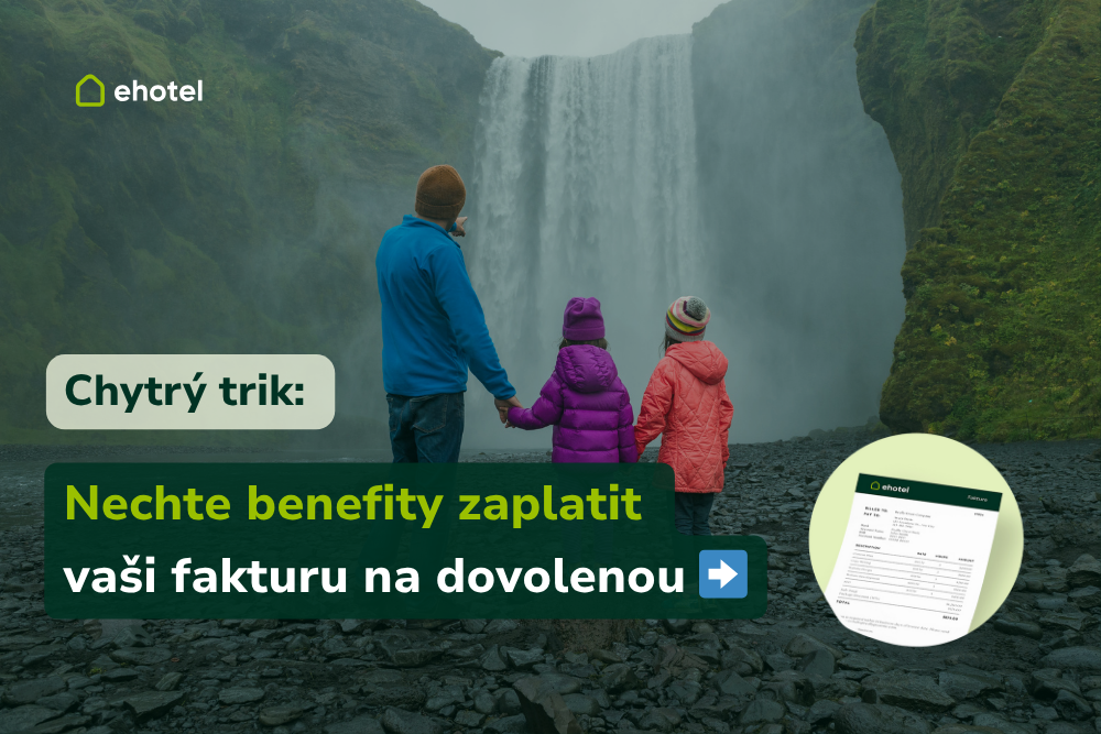 chytry-trik-nechte-si-vystavit-fakturu-na-cestovani-a-zaplatte-ji-benefity
