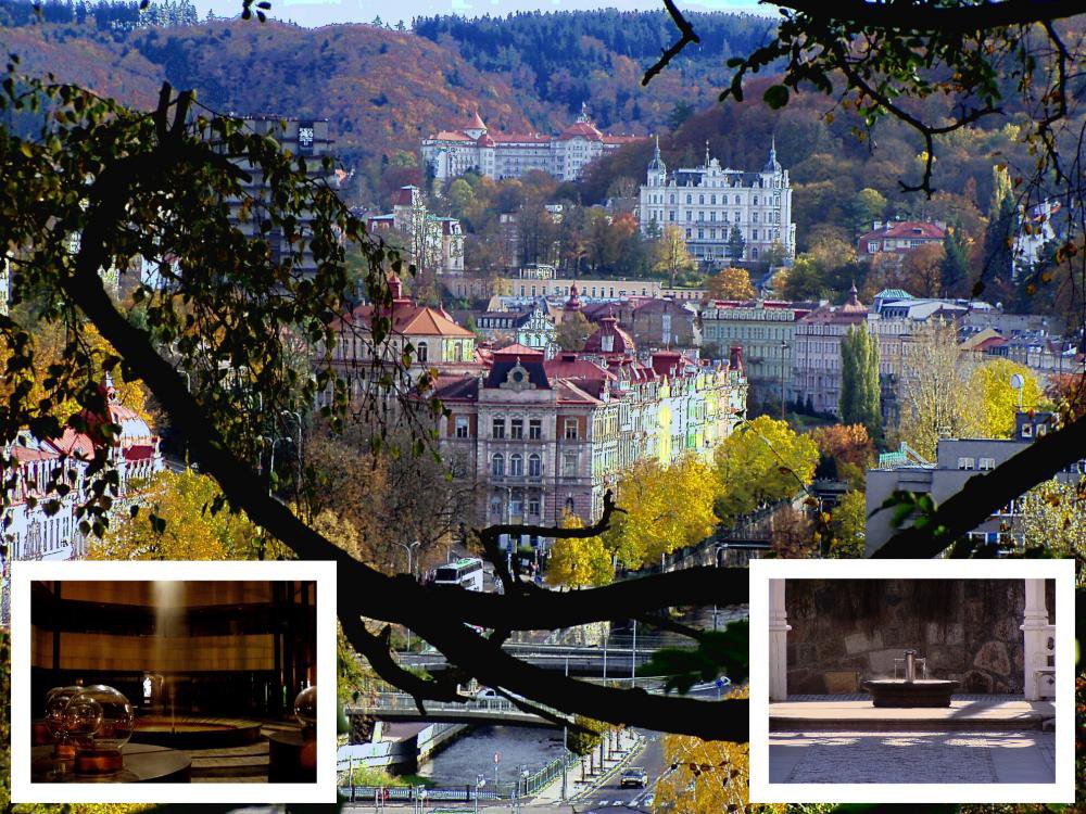 , Penzion Fan***, Karlovy Vary