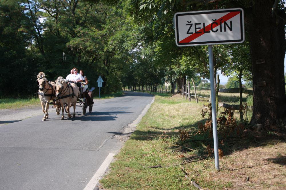 Ubytování v Zooparku Zelčín, Hořín, 