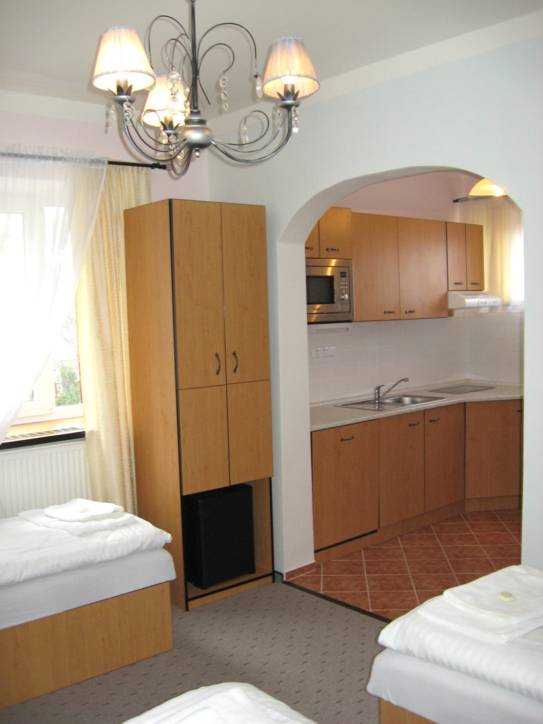 , Hotel Mánes, Svratka