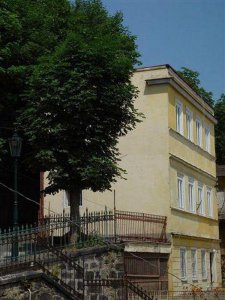 Villa Zlatý Jelen , Karlovy Vary