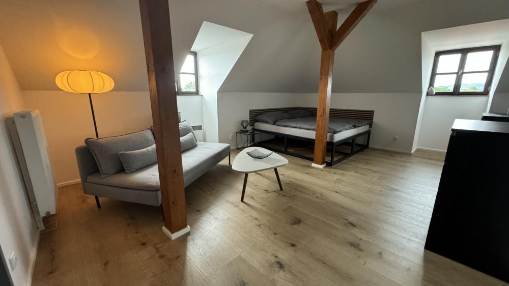 Family Apartments - ČERNICE