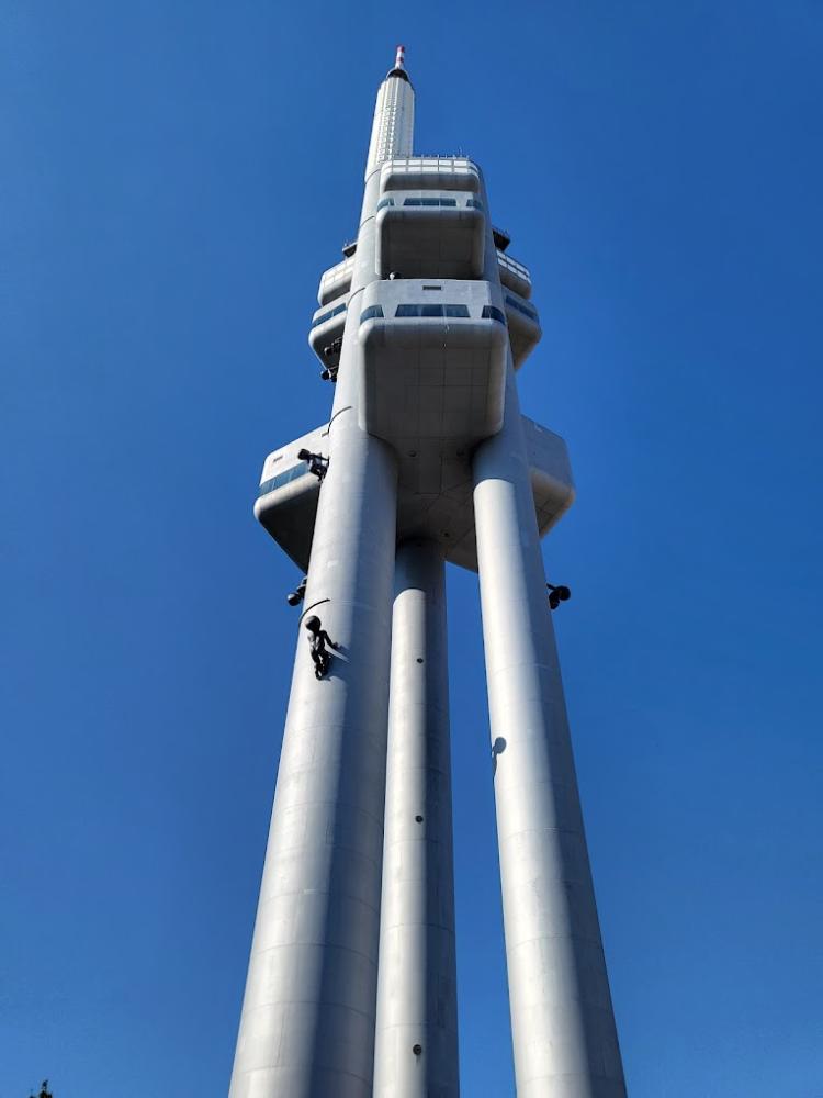HOTEL ORION